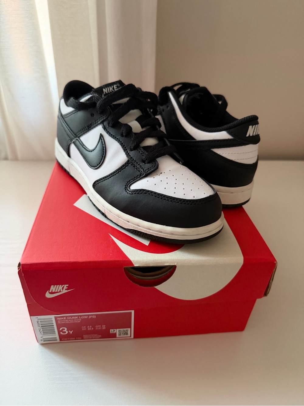 Nike Dunk Low 3Y